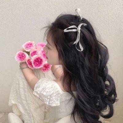 夺宝寻龙:北冥鲲宫